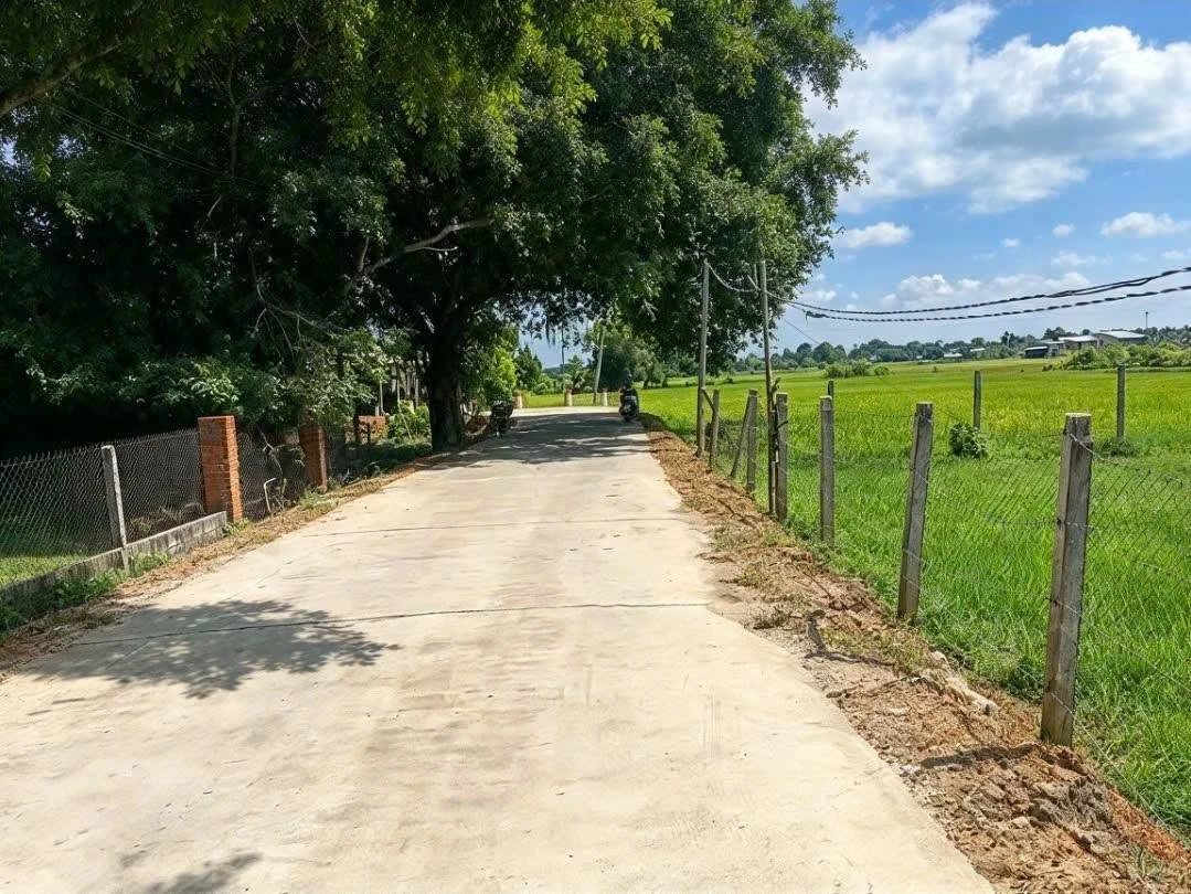 Bán đất thổ cư 240m² Xã An Ninh Đông 600 triệu - Ảnh thu nhỏ 4
