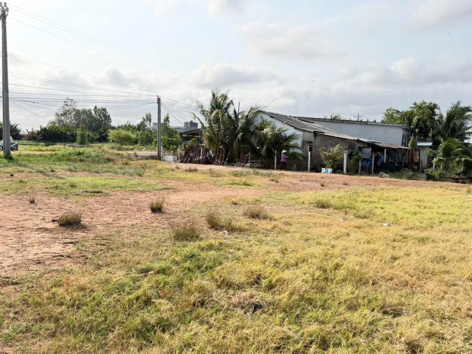 Chính chủ bán gấp 5600m2 đường Tỉnh 881 nhựa 10m, cách Phà Mỹ An 1km,giá 1tr160/m2 - Ảnh thu nhỏ 4