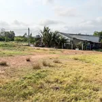 Chính chủ bán gấp 5600m2 đường Tỉnh 881 nhựa 10m, cách Phà Mỹ An 1km,giá 1tr160/m2 - Ảnh thu nhỏ 4
