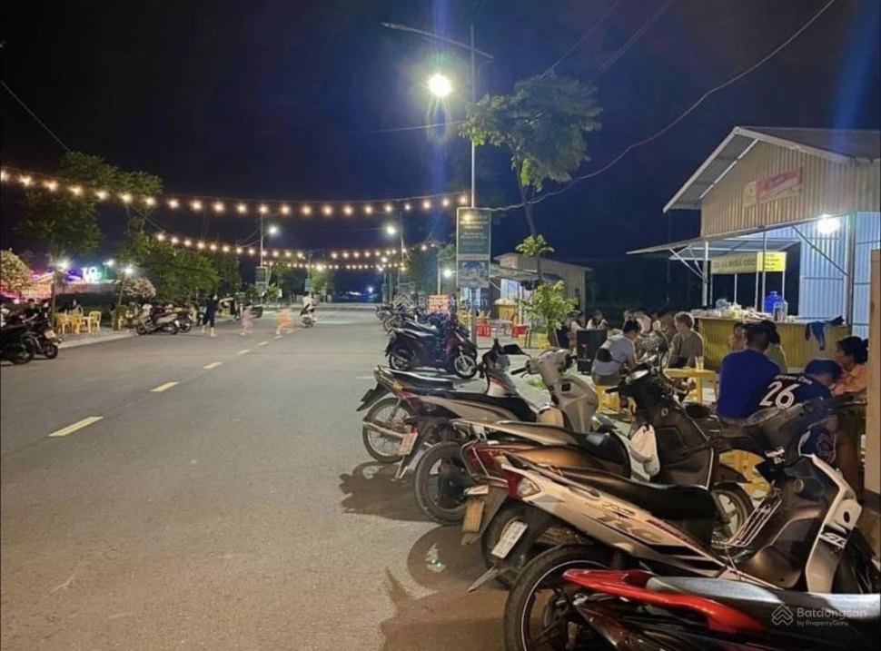 Bán đất chính chủ gửi KĐT Trái Diêm 3 Tiền Hải hiếm có 1 lô Đông Nam - Ảnh thu nhỏ 2