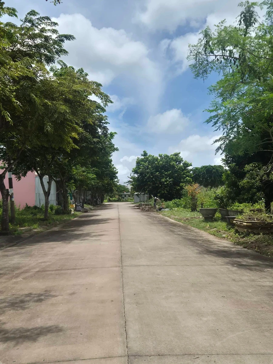 Bán 2 nền đất liền kề 100m² Nguyễn Thị Cúc Bạc Liêu - Ảnh thu nhỏ 2