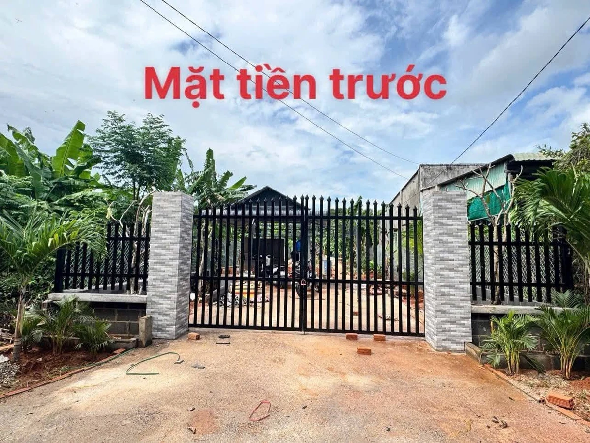 Bán đất mặt tiền Thanh Tịnh 100m2 giá 6 tỷ kengnam - Ảnh 1