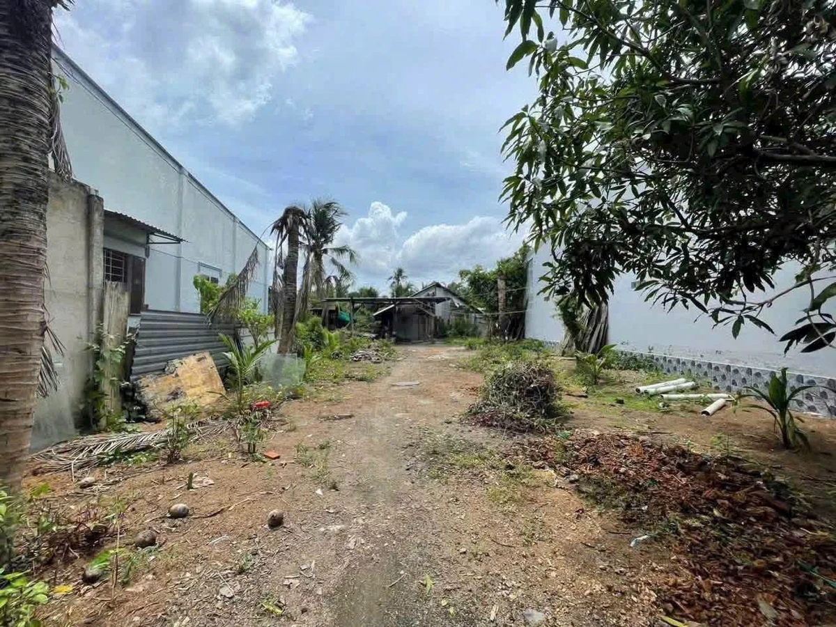 Bán đất công 1091m² Tam Phước Châu Thành Vĩnh Long - Ảnh thu nhỏ 3