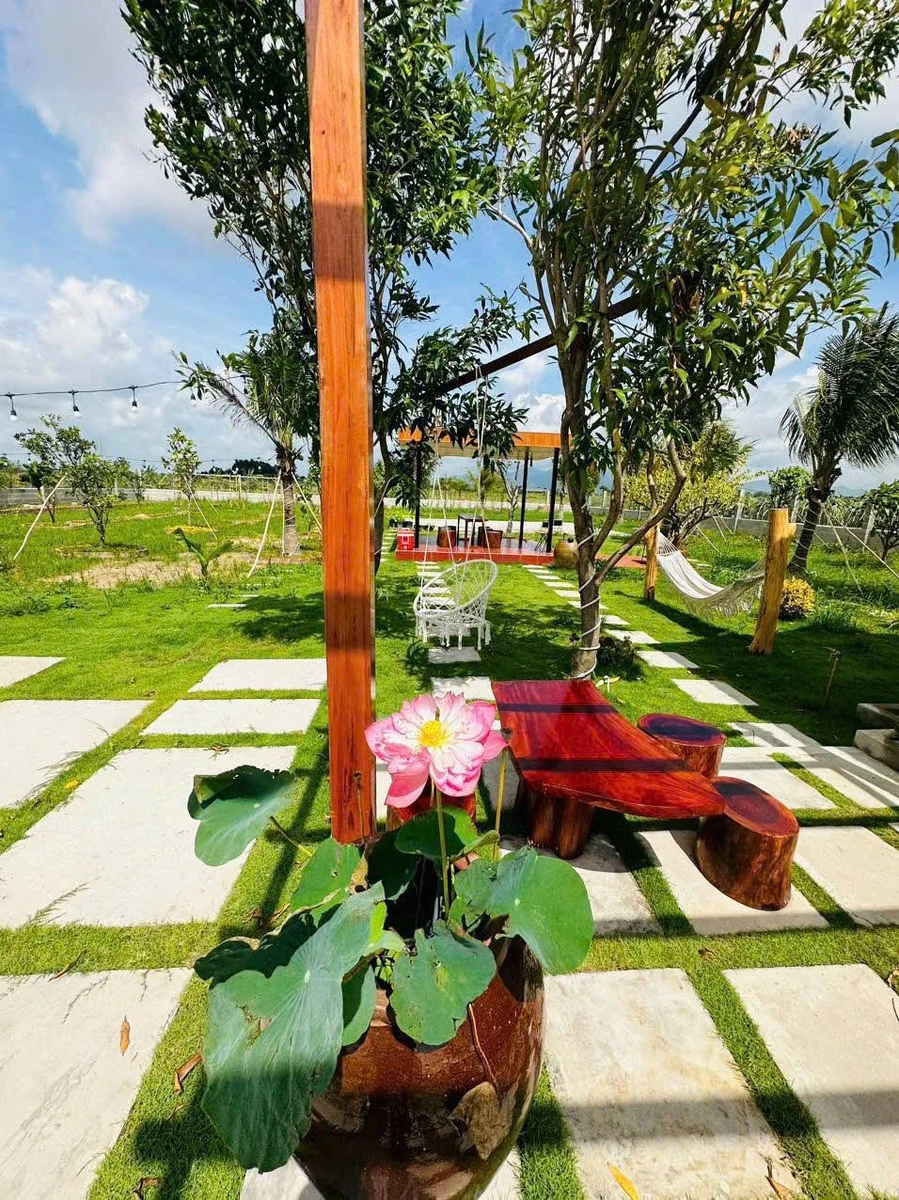 Bán nhà vườn 1800m² gần Phan Thiết 2 tỷ 2 - Ảnh thu nhỏ 2