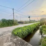 Bán đất thổ cư 840m2, 3 mặt tiền, sổ hồng, Tuyên Quang, Lâm Đồng - Ảnh thu nhỏ 2