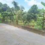 Bán đất sổ riêng 120m² Bảo Vinh, Long Khánh chỉ 550 triệu - Ảnh thu nhỏ 2
