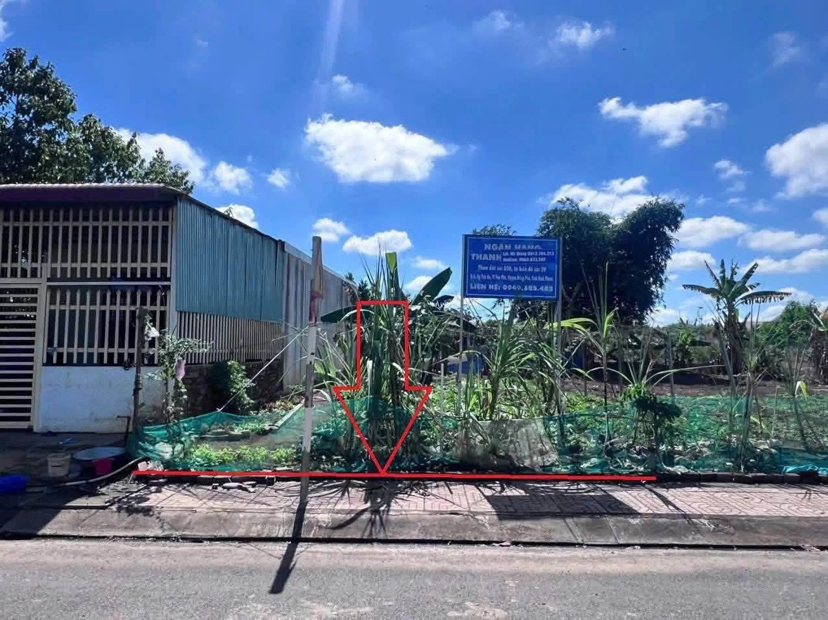 Bán đất mặt tiền đường N3, xã Đồng Phú, Đồng Nai, 130,1m2, giá 1,1 tỷ - Ảnh thu nhỏ 3