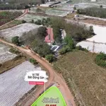 Bán đất 420m² góc 2 mặt tiền đường 42 & 44, Bình Dương, giá 600 triệu - Ảnh thu nhỏ 3