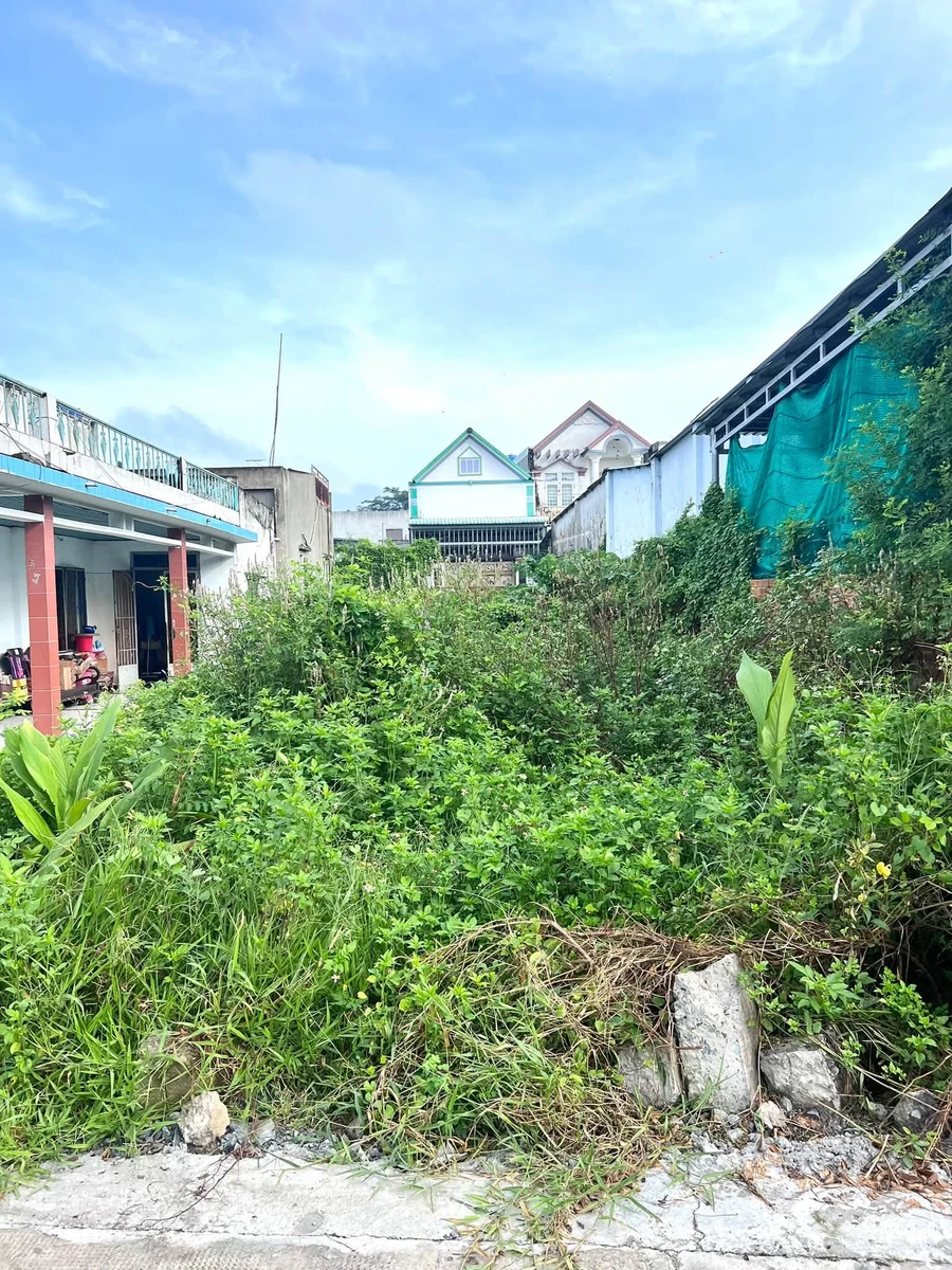 Bán đất 196m² mặt tiền Ba Ngừa, Đức Hoà, Tây Ninh - Ảnh 1
