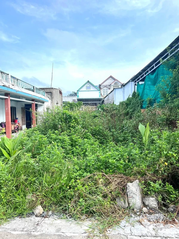 Bán đất 196m² mặt tiền Ba Ngừa, Đức Hoà, Tây Ninh