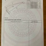 Chính chủ bán 1.000m2 trung tâm hành chính tài chính Nhơn Trạch, MT 98m, giá giảm mạnh 1,3 triệu/m2 - Ảnh thu nhỏ 6