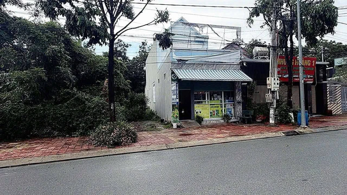 Bán đất mặt tiền Mạc Đỉnh Chi, 144m2, Thủ Dầu Một - Ảnh thu nhỏ 4