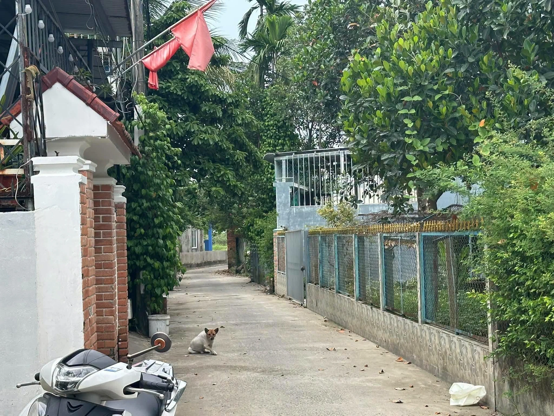 Bán đất 85m² Hòa Thọ Tây, Cẩm Lệ, Đà Nẵng, giá 1 tỷ 650 triệu - Ảnh 1
