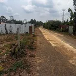 Bán đất nông nghiệp 1000m² tại Buôn Bông, Đắk Lắk, giá 700 triệu - Ảnh thu nhỏ 3