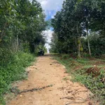 Bán 6.100m2 đất vườn sầu riêng view suối tại Hòa Thuận, Buôn Ma Thuột - Ảnh thu nhỏ 4