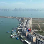 Bán đất Âu Tàu Tuần Châu 118m2, giá 36tr/m2 - Ảnh thu nhỏ 7