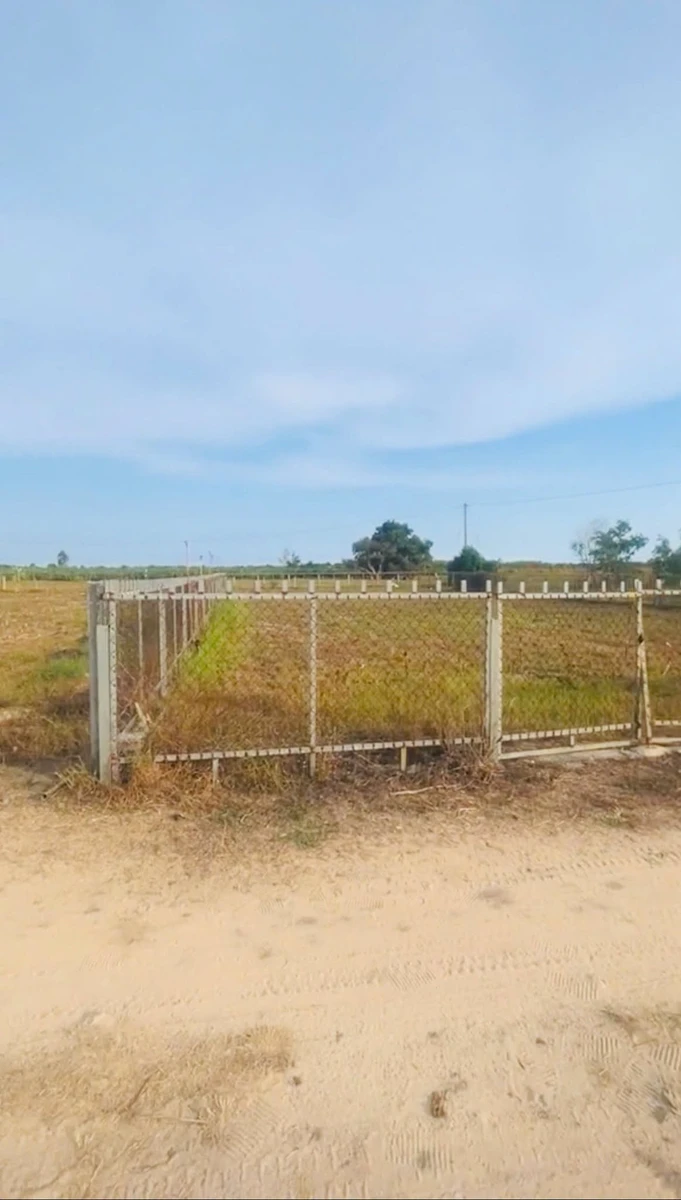 Bán đất nền Lagi 1061m2 cách biển 2km, giá 1,1 tỷ - Ảnh thu nhỏ 4