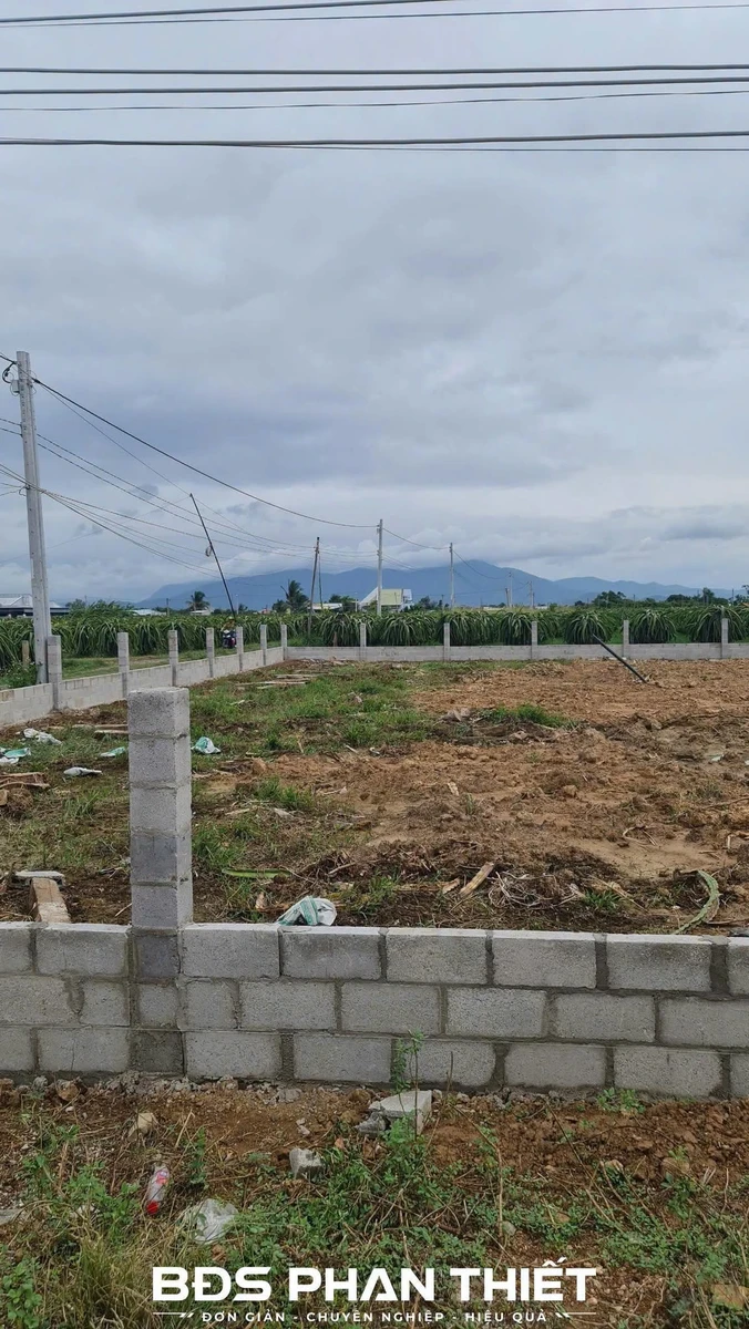 Bán đất 1.163m² tại Phú Hưng, Phan Thiết, giá 3 tỷ - Ảnh thu nhỏ 2
