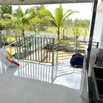 Nhà vườn 775m² có 150m² thổ cư Bình Đức Bến Lức - Ảnh thu nhỏ 5