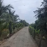 Bán đất thổ mặt tiền kênh Trạm Bom 6×29m Hòa Phú Long An - Ảnh thu nhỏ 2