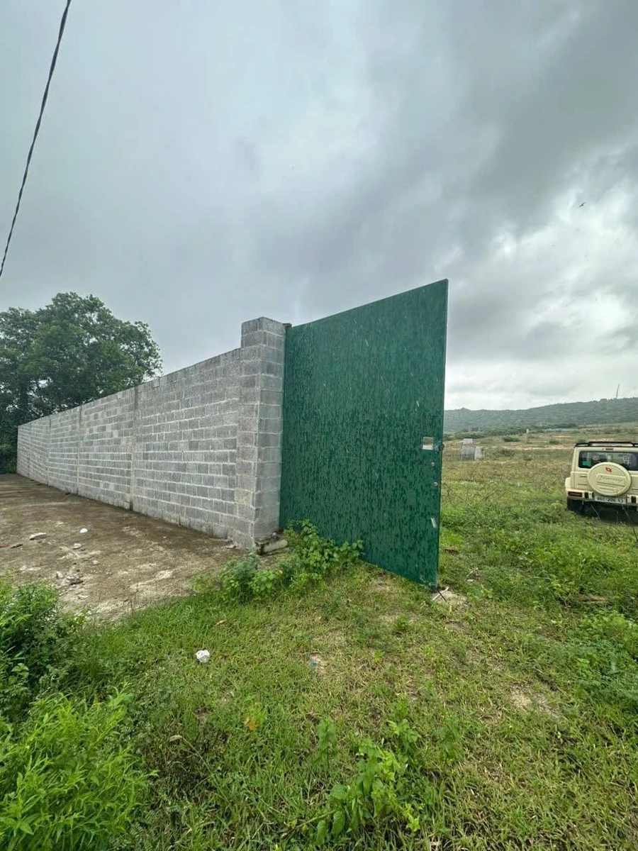 Bán 2,3 hecta đất cây trồng Mũi Né, Phan Thiết - Ảnh thu nhỏ 3