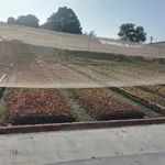 Bán đất 10x20m (200m2) giá 850 triệu gần Ngã Năm Hải Dương, Trảng Dài, Biên Hòa - Ảnh thu nhỏ 1