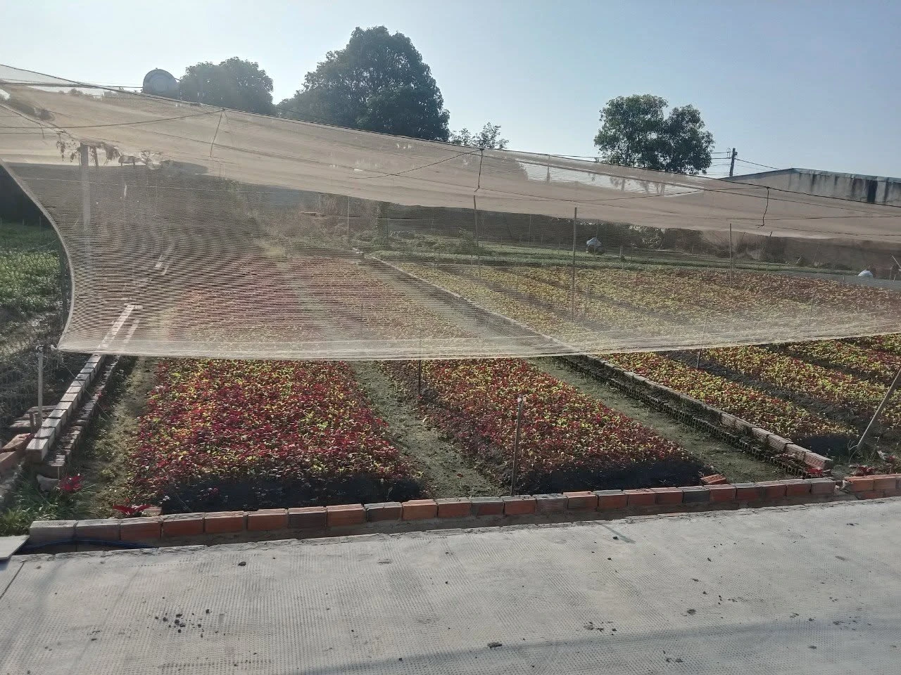 Bán đất 10x20m (200m2) giá 850 triệu gần Ngã Năm Hải Dương, Trảng Dài, Biên Hòa - Ảnh 1