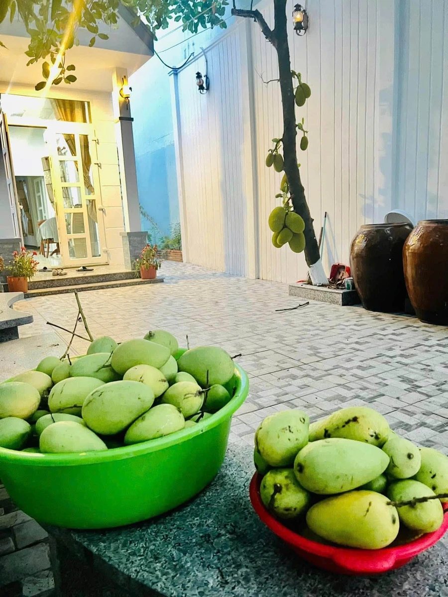 Bán nhà mặt tiền Quang Trung Cà Mau 4,5x22m, 2 phòng ngủ 4 tỷ - Ảnh thu nhỏ 5