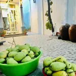 Bán nhà mặt tiền Quang Trung Cà Mau 4,5x22m, 2 phòng ngủ 4 tỷ - Ảnh thu nhỏ 5