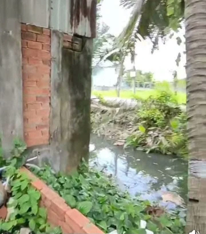 Bán đất 1000m² xã Tân Trạch Cần Đước Long An 2,8 tỷ - Ảnh thu nhỏ 3