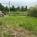 Bán 2 nền đất liền kề 300m² thổ cư tại xã Hữu Định, Bến Tre - Ảnh thu nhỏ 3