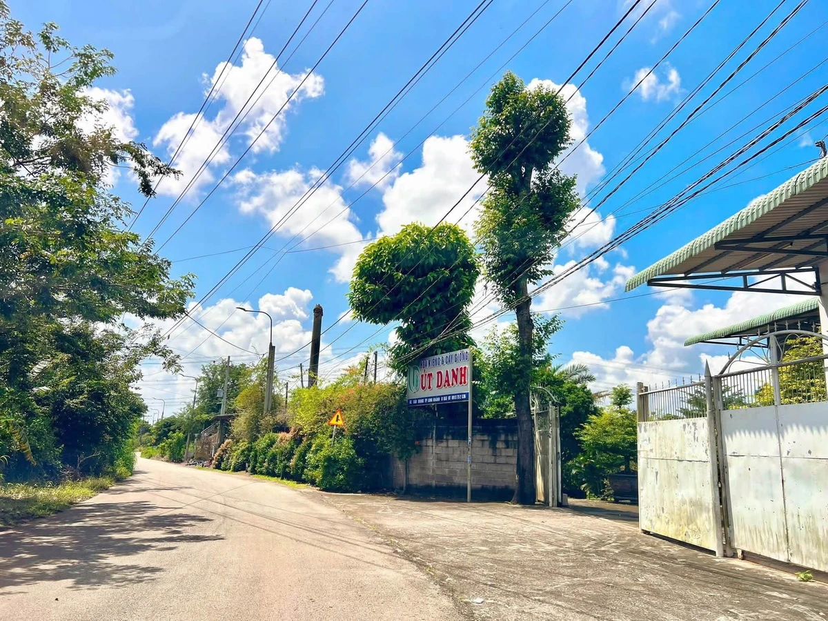 Bán đất vườn trái cây 500m2 sổ riêng giá 699 triệu tại Phường Bảo Vinh - Ảnh thu nhỏ 3