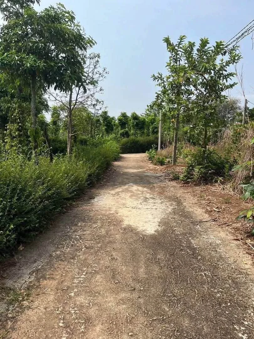 Bán đất lô góc 2 mặt tiền hẻm Huỳnh Tấn Phát, 300m2, giá 1,1 tỷ, Buôn Ma Thuột - Ảnh thu nhỏ 3