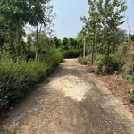 Bán đất lô góc 2 mặt tiền hẻm Huỳnh Tấn Phát, 300m2, giá 1,1 tỷ, Buôn Ma Thuột - Ảnh thu nhỏ 3