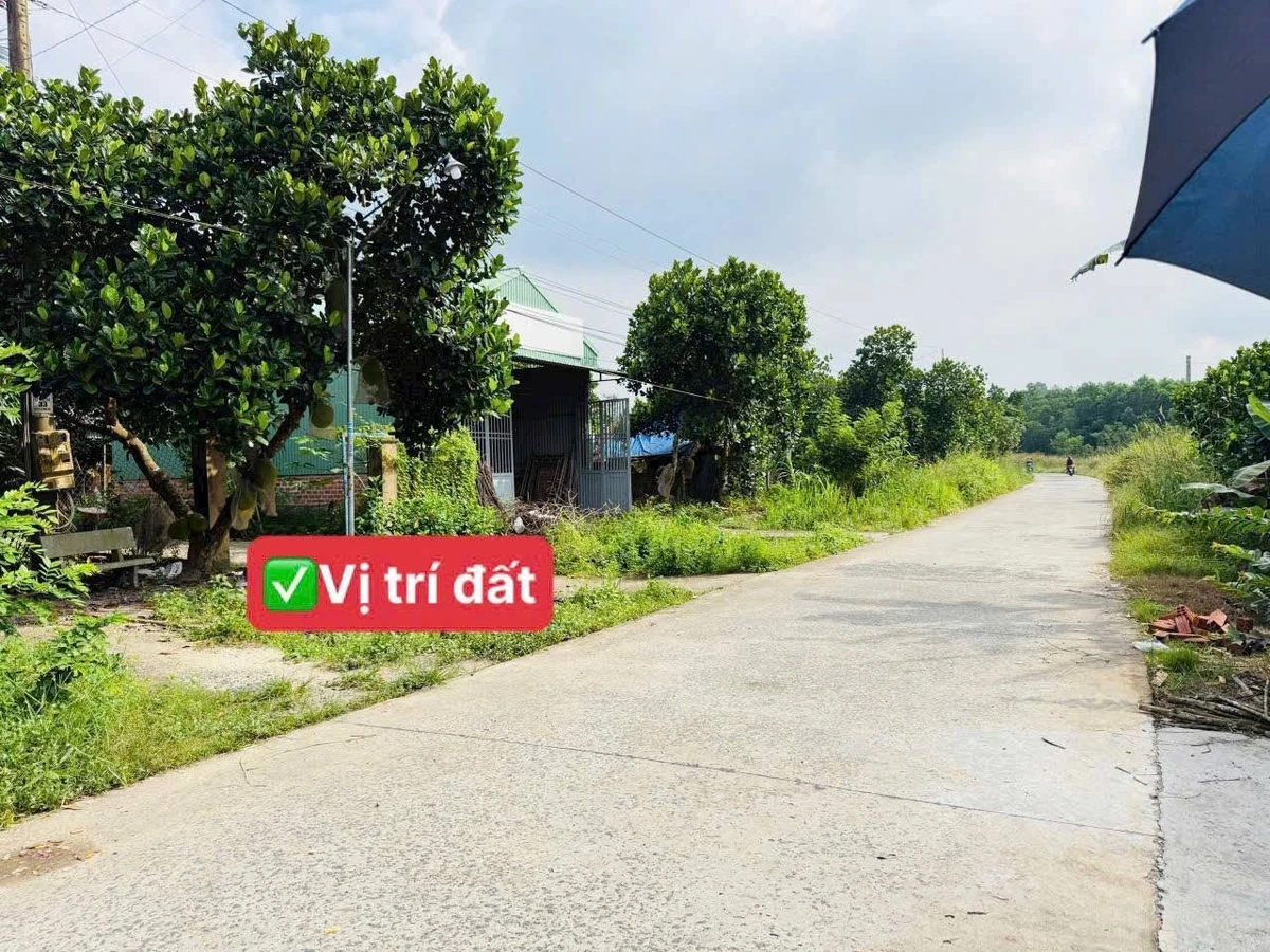 Bán đất 5x41m (205m²) thổ cư Chơn Thành, Bình Dương, giá 400 triệu - Ảnh thu nhỏ 2