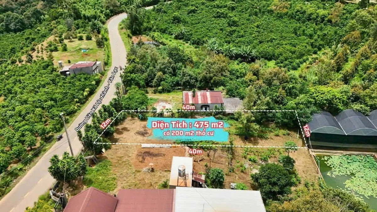 Bán đất mặt tiền 480m² Tân Lạc, 1 tỷ 100 triệu - Ảnh thu nhỏ 2