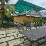 Nhà vườn 1030m2 Vĩnh Lộc A, Bình Chánh 17.5 tỷ - Ảnh thu nhỏ 2