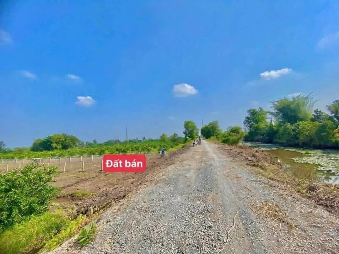 Bán đất vườn 500m2 giá 319 triệu ấp 3 Tân Thành, Thủ Thừa, Long An (Mỹ Thạnh Tây, Tây Ninh mới) - Ảnh thu nhỏ 2