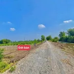Bán đất vườn 500m2 giá 319 triệu ấp 3 Tân Thành, Thủ Thừa, Long An (Mỹ Thạnh Tây, Tây Ninh mới) - Ảnh thu nhỏ 2
