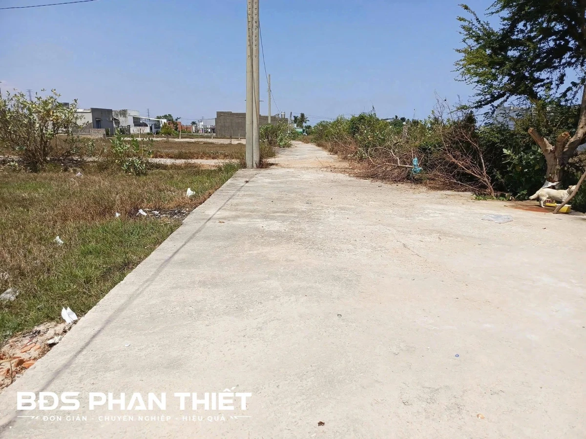 Bán đất mặt tiền 1.000m² Bình Thuận - 1 tỷ 250 triệu - Ảnh 1