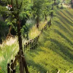 CHUYỂN NHƯỢNG QUỸ CĂN BIỆT THỰ RỪNG THÔNG VEN HỒ THANH XUÂN VALLEY TẤT CÁC PHÂN KHU GIÁ TỐT - Ảnh thu nhỏ 28