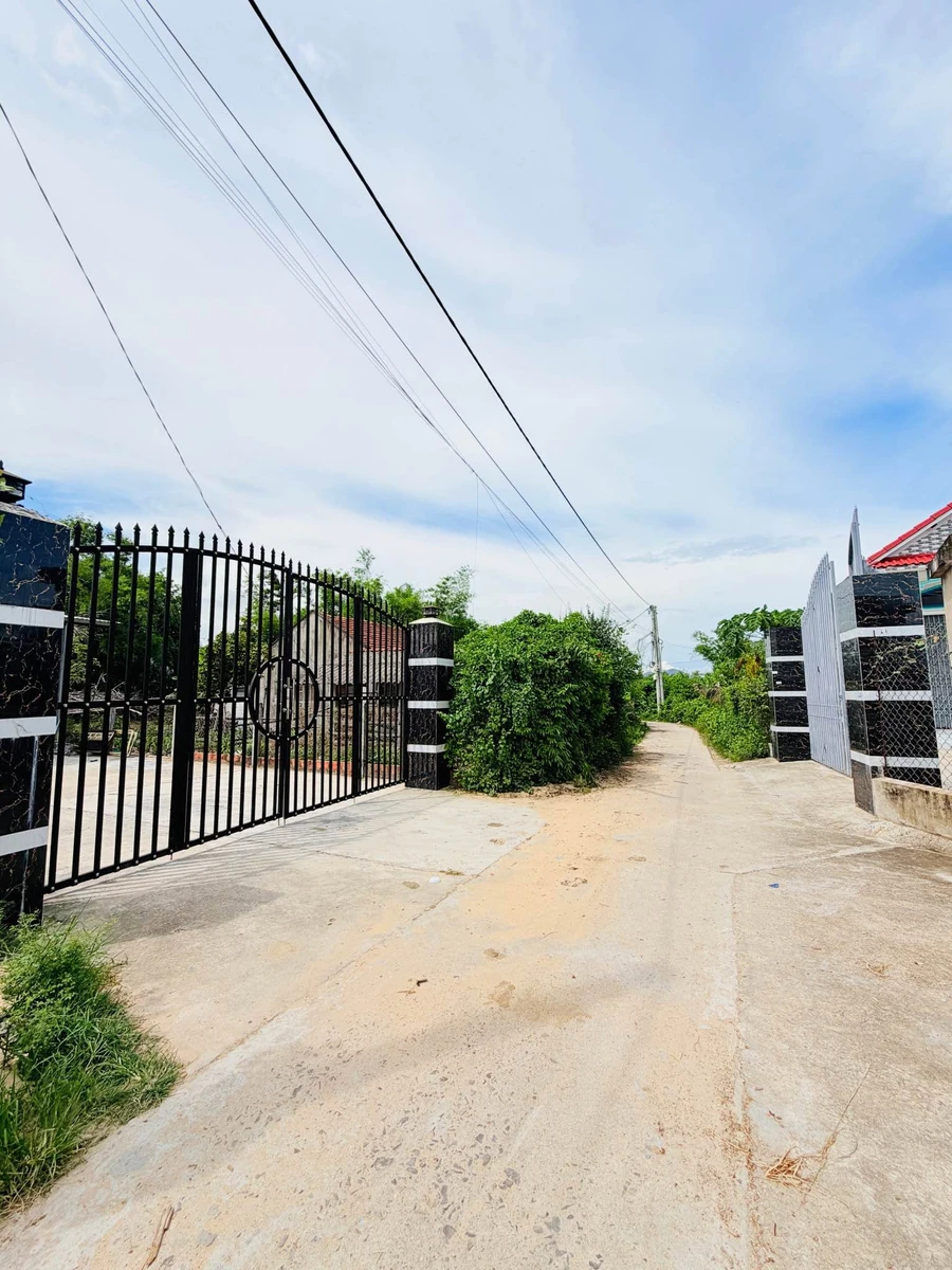 Bán đất 1000m2 tại Bình An 2, Tuy Phước Tây, Bình Dương - Ảnh thu nhỏ 4