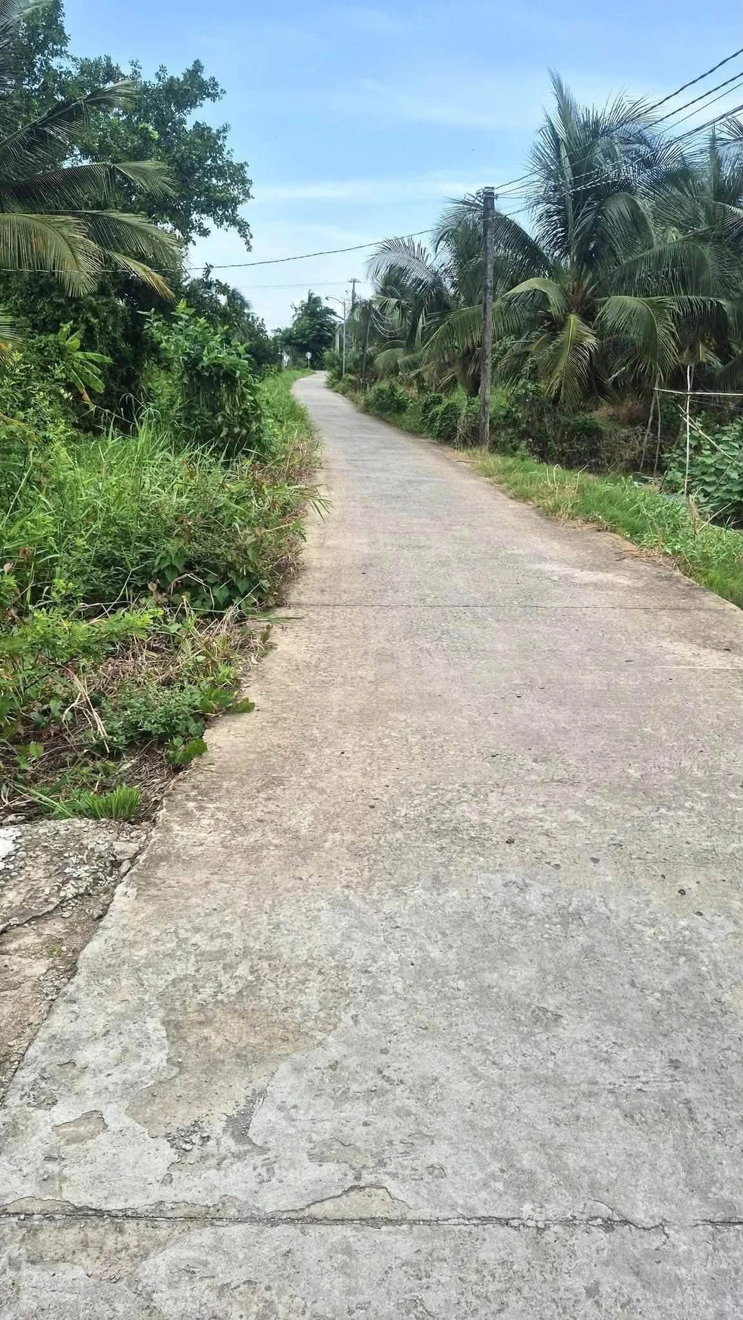 Bán đất nền 1000m² Long An 1 tỷ 100 triệu - Ảnh 1