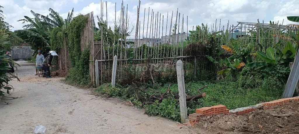 Bán đất hẻm ô tô thông Bình Mỹ Củ Chi 115m² - Ảnh thu nhỏ 5