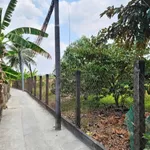 Bán lô đất vườn 1.197m² Cần Giuộc, Long An 2,6 tỷ - Ảnh thu nhỏ 2