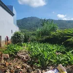 Bán đất nông thôn 207m² Hiệp Thạnh Lâm Đồng giá 1,25 tỷ - Ảnh thu nhỏ 5