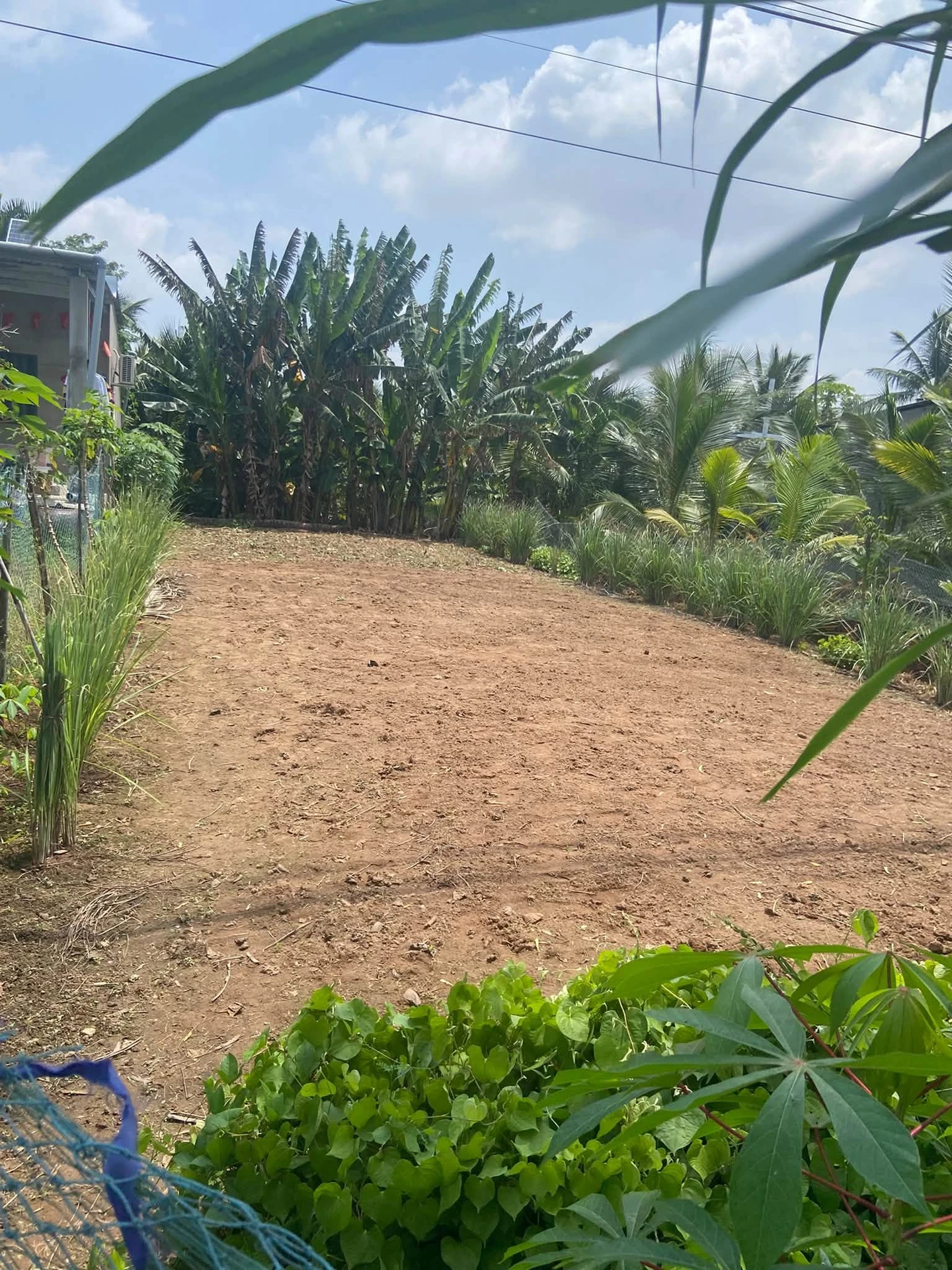 Bán nền 7.5x26 (195m²) mặt tiền Đê Tây, Nhà Bè - Ảnh 1