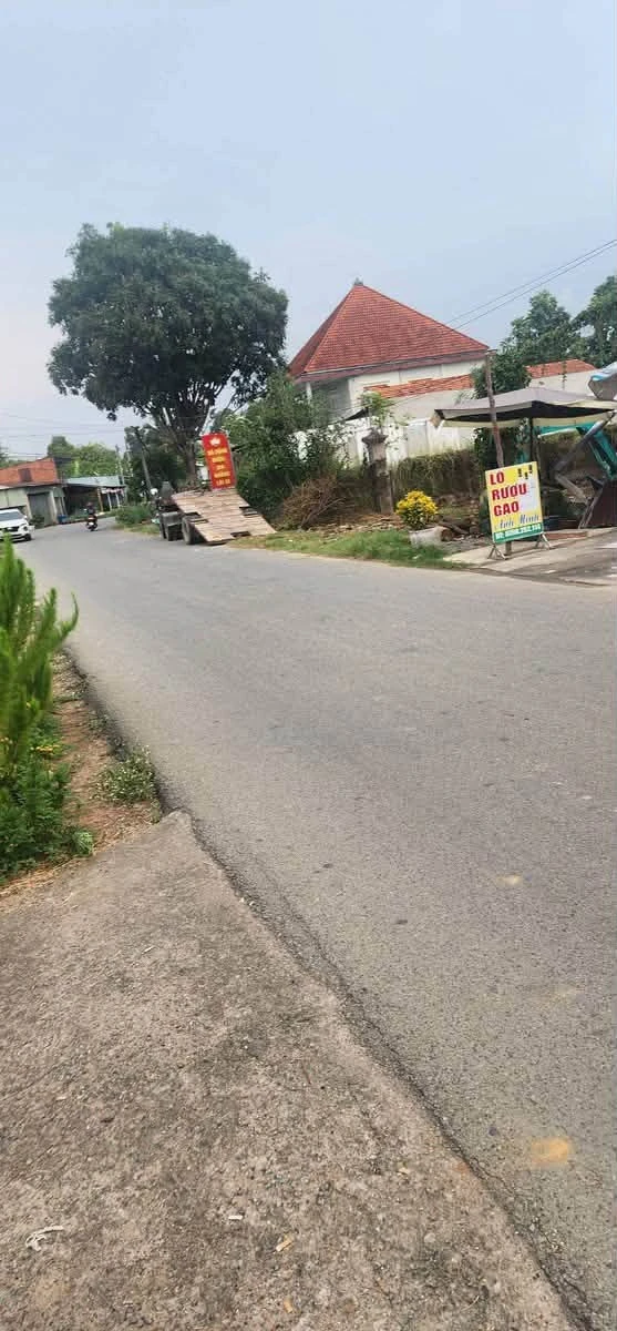 Bán 2 lô đất mặt tiền Nhựa Chính Bạch Dằng 190m² 2,6 tỷ - Ảnh thu nhỏ 2