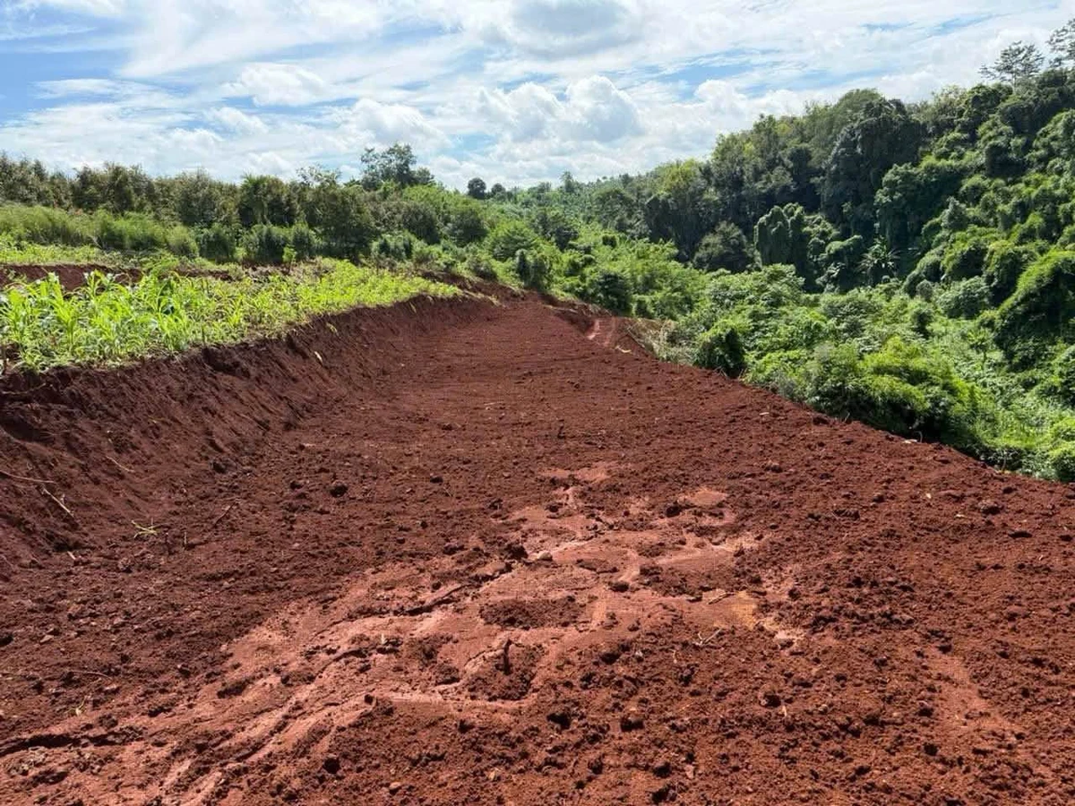 Bán 10.000m² đất Đắk Lắk Cư Mgar EaPok - Ảnh thu nhỏ 2