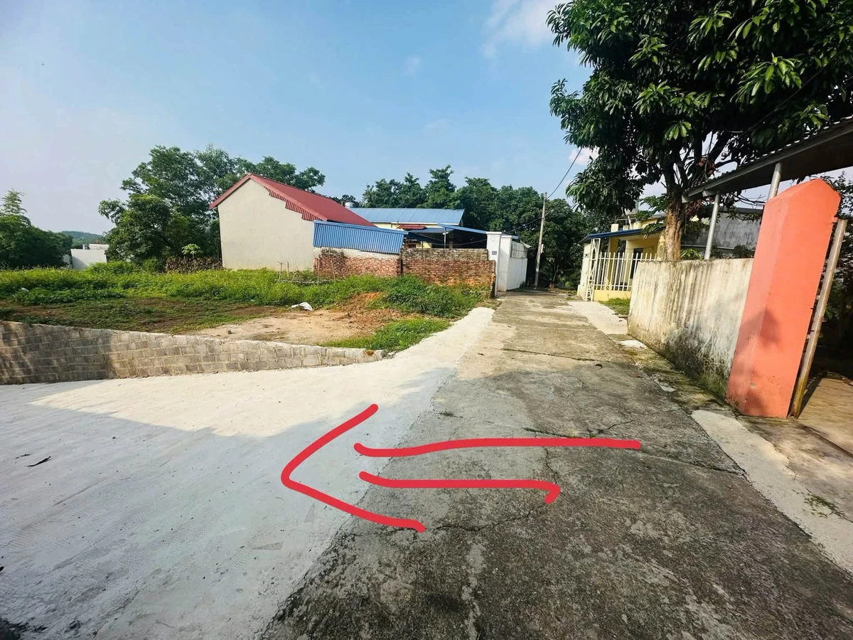 Bán lô đất gần 1.000m² Tích Lương, Bình Chánh, giá 2 tỷ - Ảnh 1